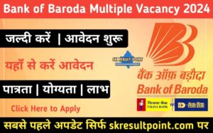 Bank of Baroda Multiple Vacancy 2024