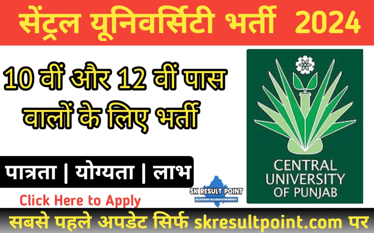 Central University of Punjab Recruitment 2024