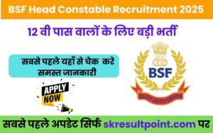 BSF Head Constable Recruitment 2025
