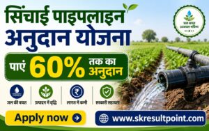 Irrigation Pipeline Scheme 2026